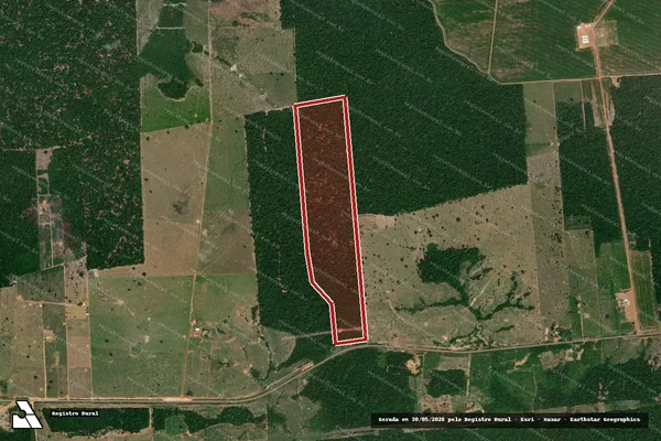 Imagem de satélite de Infração da Flora em Porto Velho - RO