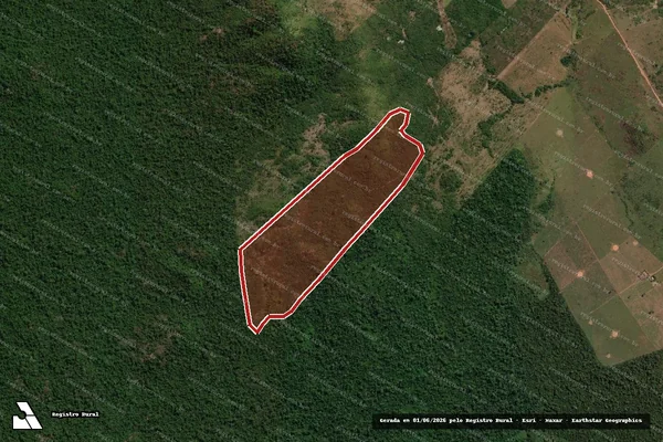 Imagem de satélite de Infração da Flora em São Félix do Xingu - PA