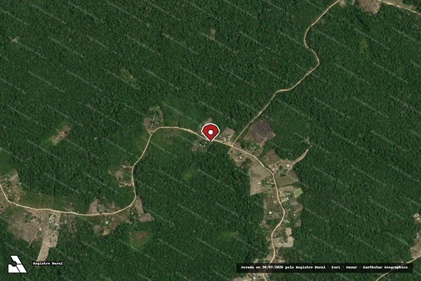 Imagem de satélite de Infração da Flora em Manaus - AM (marcador da localização)