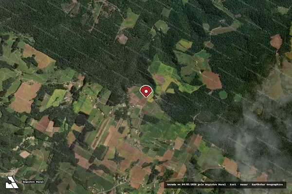 Imagem de satélite de Infração Ambiental em Santa Terezinha - SC (marcador da localização)