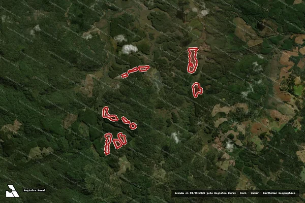 Imagem de satélite — Embargo IBAMA — Infração da Flora — General Carneiro/PR