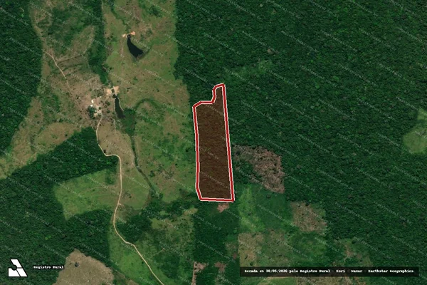 Imagem de satélite — Embargo IBAMA — Infração da Flora - Anapu/PA