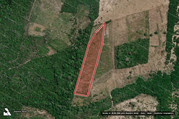 Imagem de satélite — Embargo IBAMA — Infração Ambiental - Santarém/PA