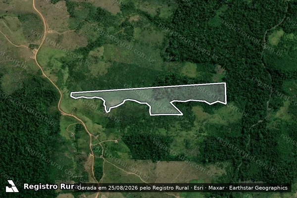 Imagem de satélite de Infração da Flora em Pacajá - PA
