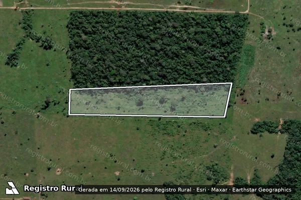 Imagem de satélite — Embargo IBAMA — Infração da Flora - Porto Velho/RO