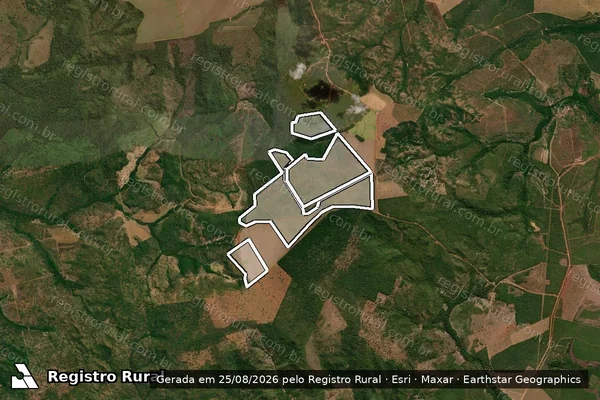 Imagem de satélite de Infração da Flora em Serra Nova Dourada - MT