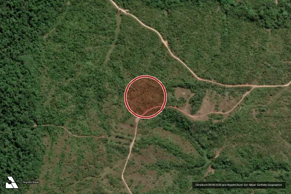 Imagem de satélite de Infração Ambiental em Dom Eliseu - PA