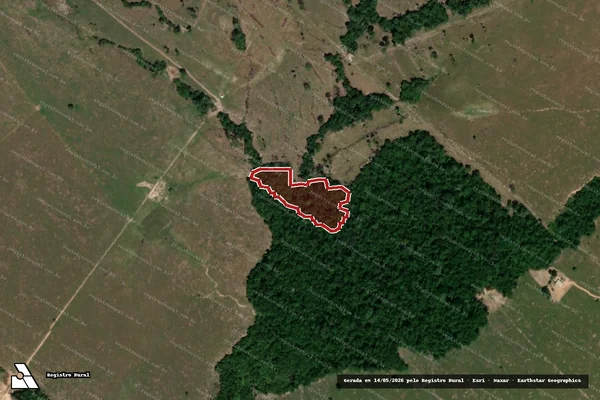 Imagem de satélite de Infração da Flora em Porto Velho - RO