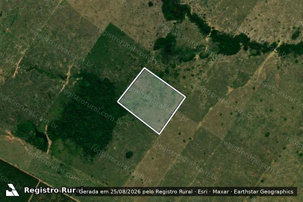 Imagem de satélite de Desmatamento em Porto Velho - RO
