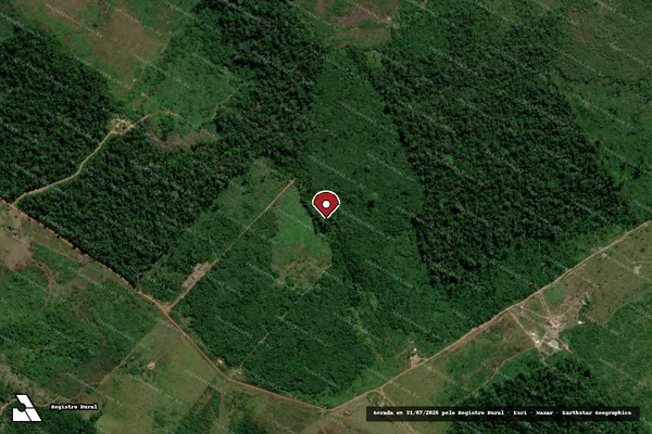 Imagem de satélite de Infração Ambiental em Apuí - AM (marcador da localização)