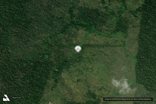 Imagem de satélite de Infração da Flora em Altamira - PA (marcador da localização)