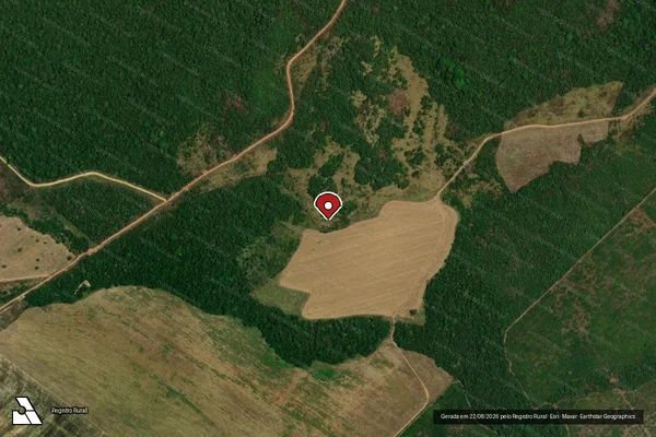 Imagem de satélite de Infração Ambiental em Marcelândia - MT (marcador da localização)