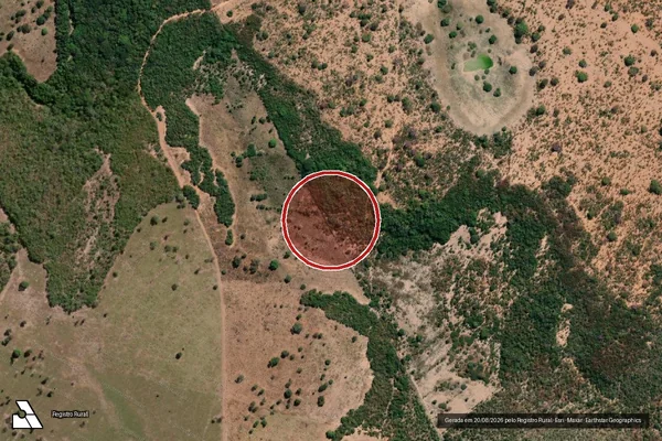 Imagem de satélite de Infração Ambiental em Flores de Goiás - GO