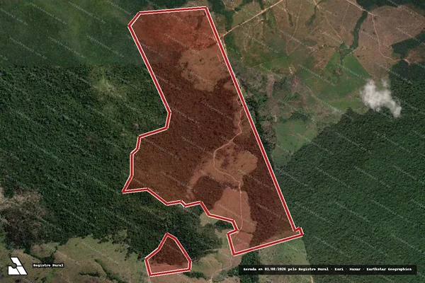 Imagem de satélite de Infração Ambiental em Novo Progresso - PA