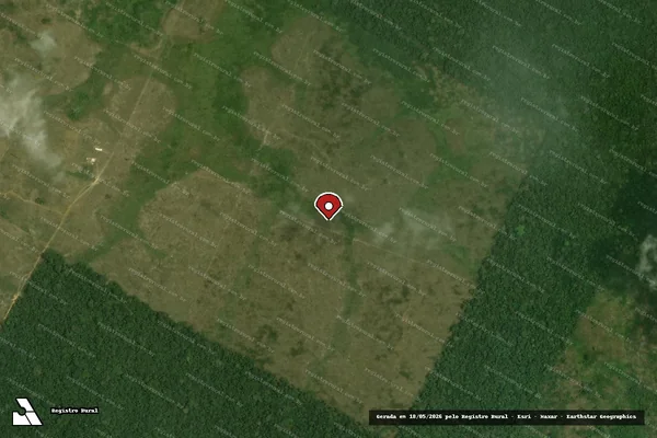 Imagem de satélite de Infração Ambiental em Pacajá - PA (marcador da localização)