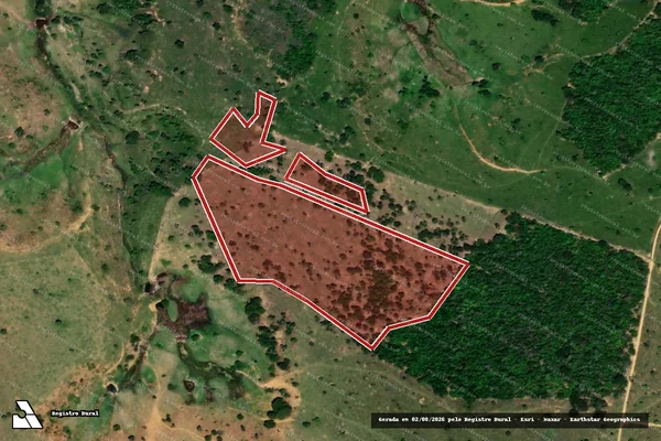 Imagem de satélite — Embargo IBAMA — Infração da Flora — Medeiros Neto/BA