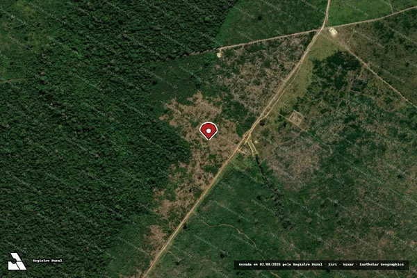 Imagem de satélite — Embargo IBAMA — Infração da Flora - Manaus/AM