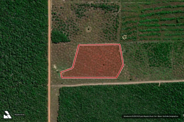 Imagem de satélite — Embargo IBAMA — Infração Ambiental - Pimenteiras do Oeste/RO