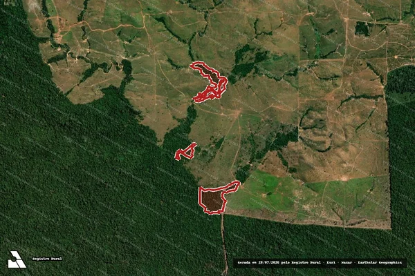 Imagem de satélite — Embargo IBAMA — Infração da Flora - Pimenta Bueno/RO
