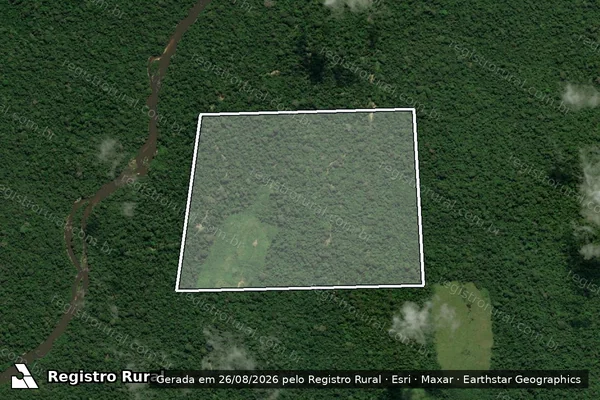 Imagem de satélite de Infração da Flora em Pacajá - PA