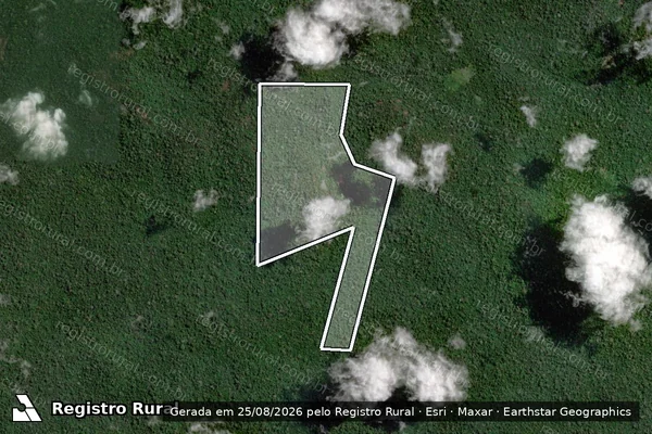 Imagem de satélite de Infração da Flora em Senador José Porfírio - PA