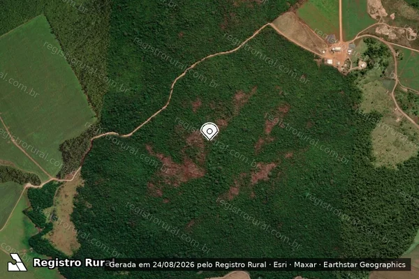Imagem de satélite de Infração Ambiental em Marcelândia - MT (marcador da localização)