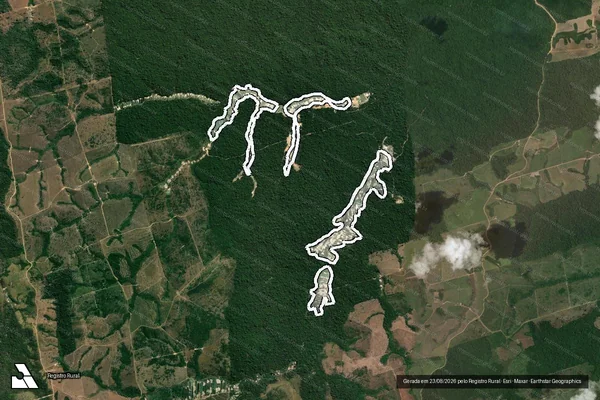 Imagem de satélite de Infração da Flora em Novo Progresso - PA