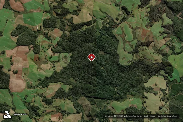 Imagem de satélite de Infração da Flora em Brunópolis - SC (marcador da localização)