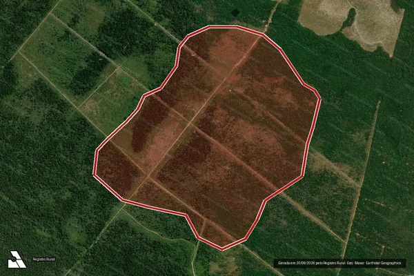 Imagem de satélite de Infração Ambiental em Peixoto de Azevedo - MT