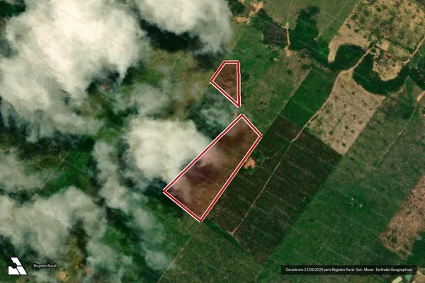 Imagem de satélite de Infração da Flora em Porto Velho - RO