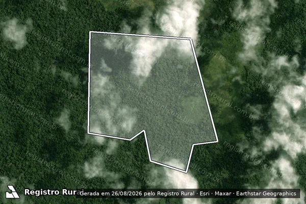 Imagem de satélite de Infração da Flora em Portel - PA