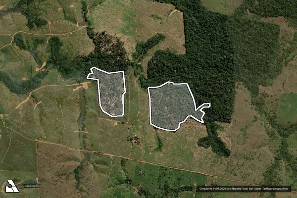 Imagem de satélite de Infração da Flora em Buritis - RO