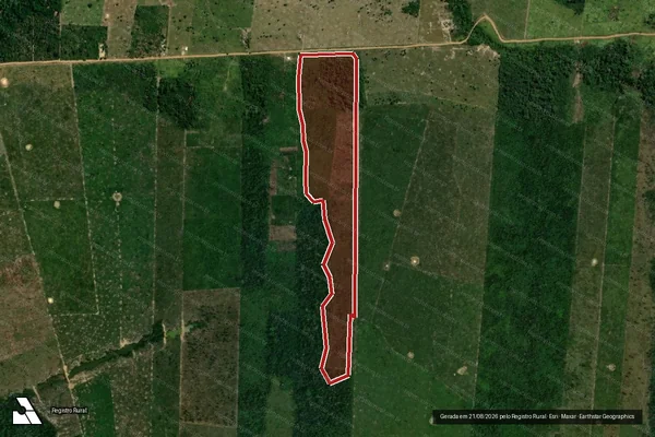 Imagem de satélite de Infração da Flora em Porto Velho - RO