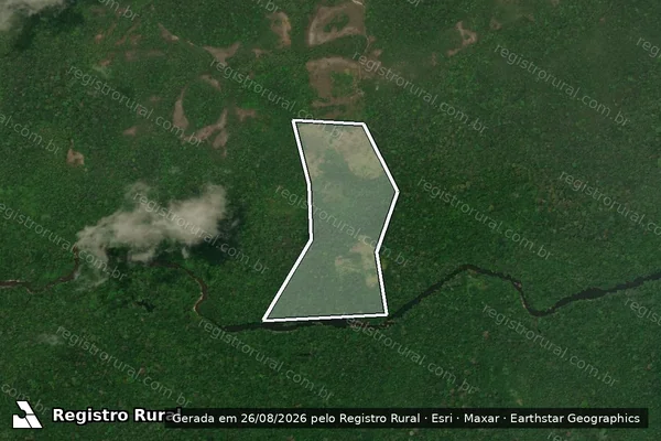Imagem de satélite de Infração Ambiental em Caracaraí - RR