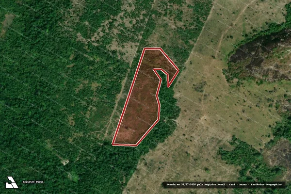 Imagem de satélite de Infração da Fauna em Mucajaí - RR