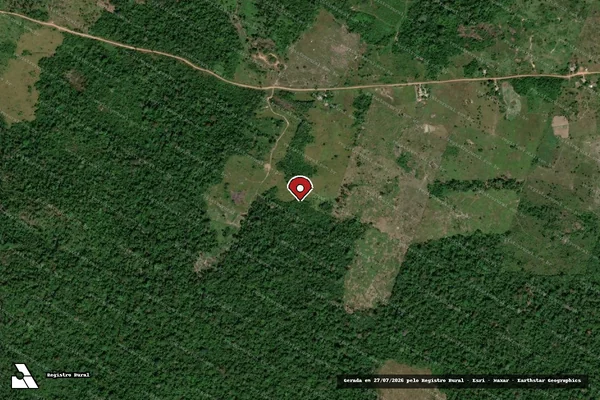 Imagem de satélite de Infração Ambiental em Rorainópolis - RR (marcador da localização)