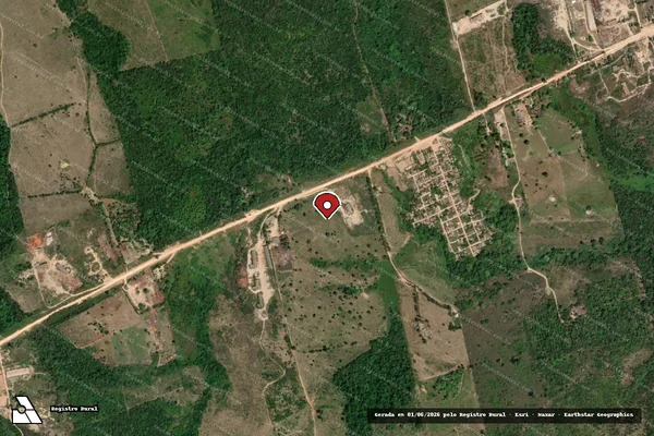 Imagem de satélite de Infração da Flora em Uruará - PA (marcador da localização)