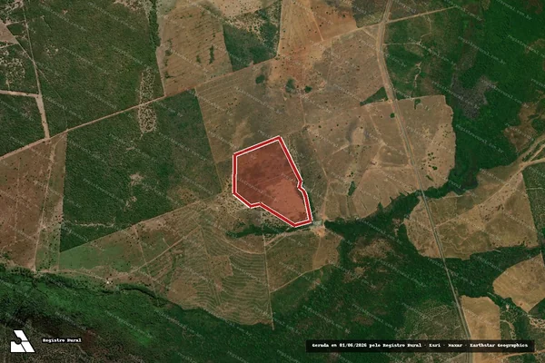 Imagem de satélite — Embargo IBAMA — Infração da Flora — Formoso do Araguaia/TO