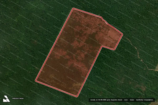 Imagem de satélite de Infração da Flora em Altamira - PA