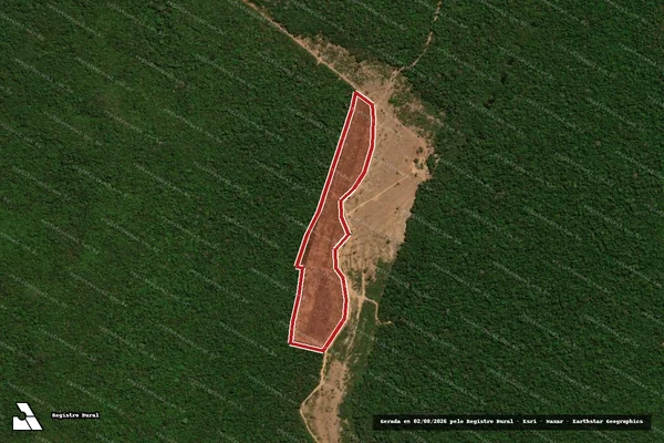 Imagem de satélite — Embargo IBAMA — Infração da Flora - Marcelândia/MT