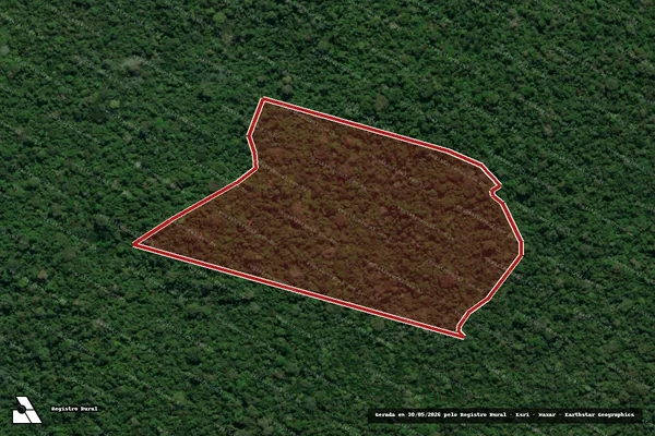 Imagem de satélite de Infração da Flora em Anapu - PA