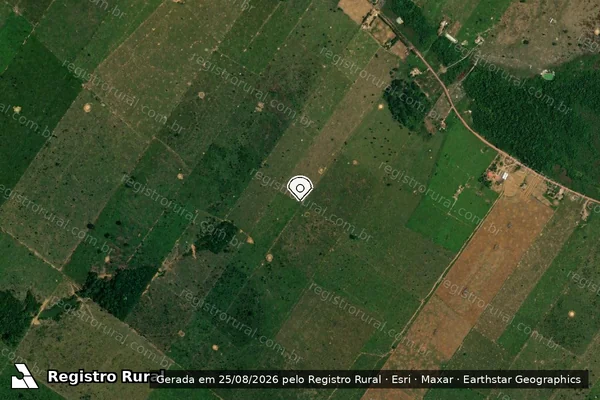 Imagem de satélite de Infração da Flora em Porto Velho - RO (marcador da localização)