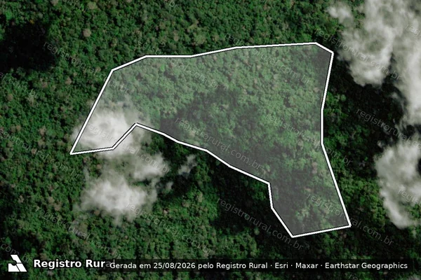 Imagem de satélite — Embargo Ambiental - Medicilândia/PA