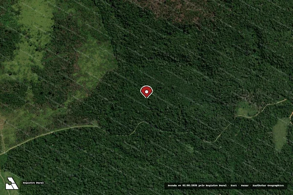 Imagem de satélite de Infração Ambiental em Placas - PA (marcador da localização)