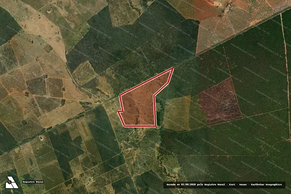 Imagem de satélite — Embargo IBAMA — Infração da Flora — Brejolândia/BA