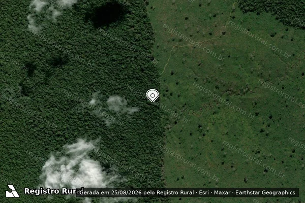 Imagem de satélite de Infração da Flora em Porto Velho - RO (marcador da localização)