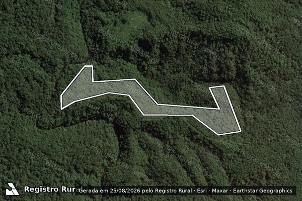 Imagem de satélite de Infração Ambiental em Mallet - PR