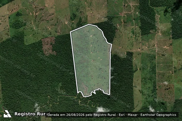 Imagem de satélite de Infração Ambiental em Porto Velho - RO