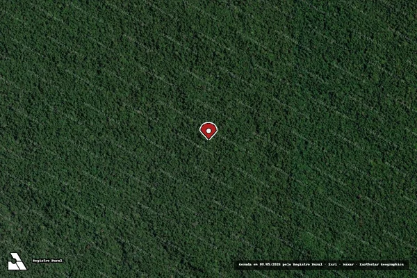Imagem de satélite de Infração da Flora em Dom Eliseu - PA (marcador da localização)