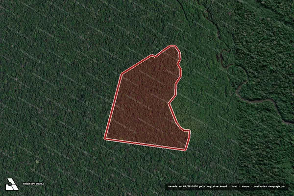 Imagem de satélite de Infração da Flora em Lábrea - AM